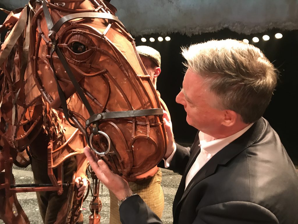 Joey War Horse Celebrity Whisperer Matt Myers