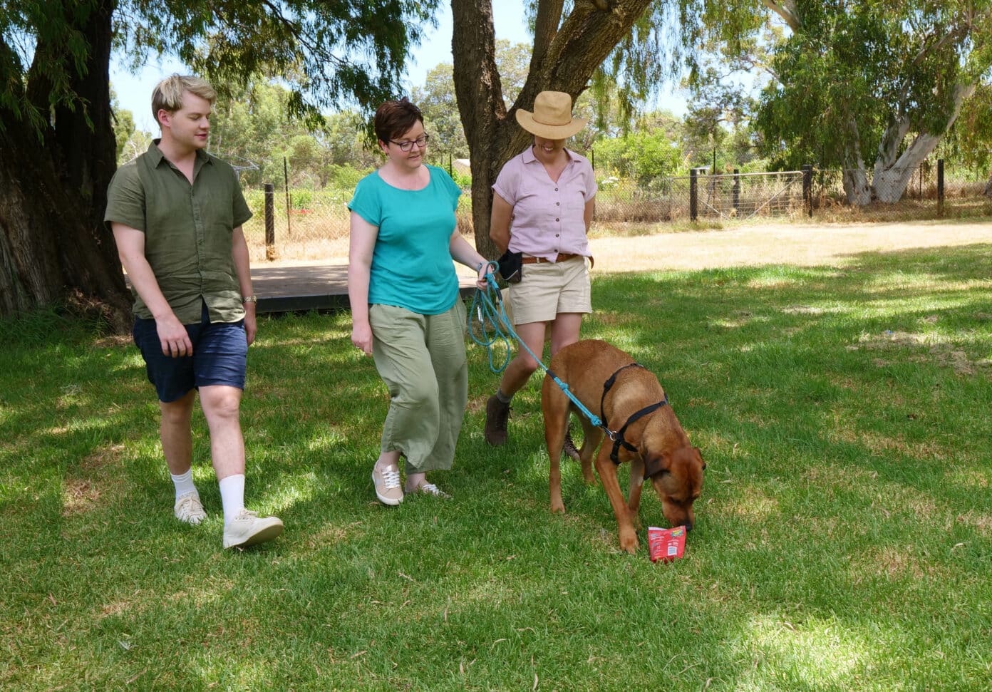 Joel Creasey in A New Leash On Life