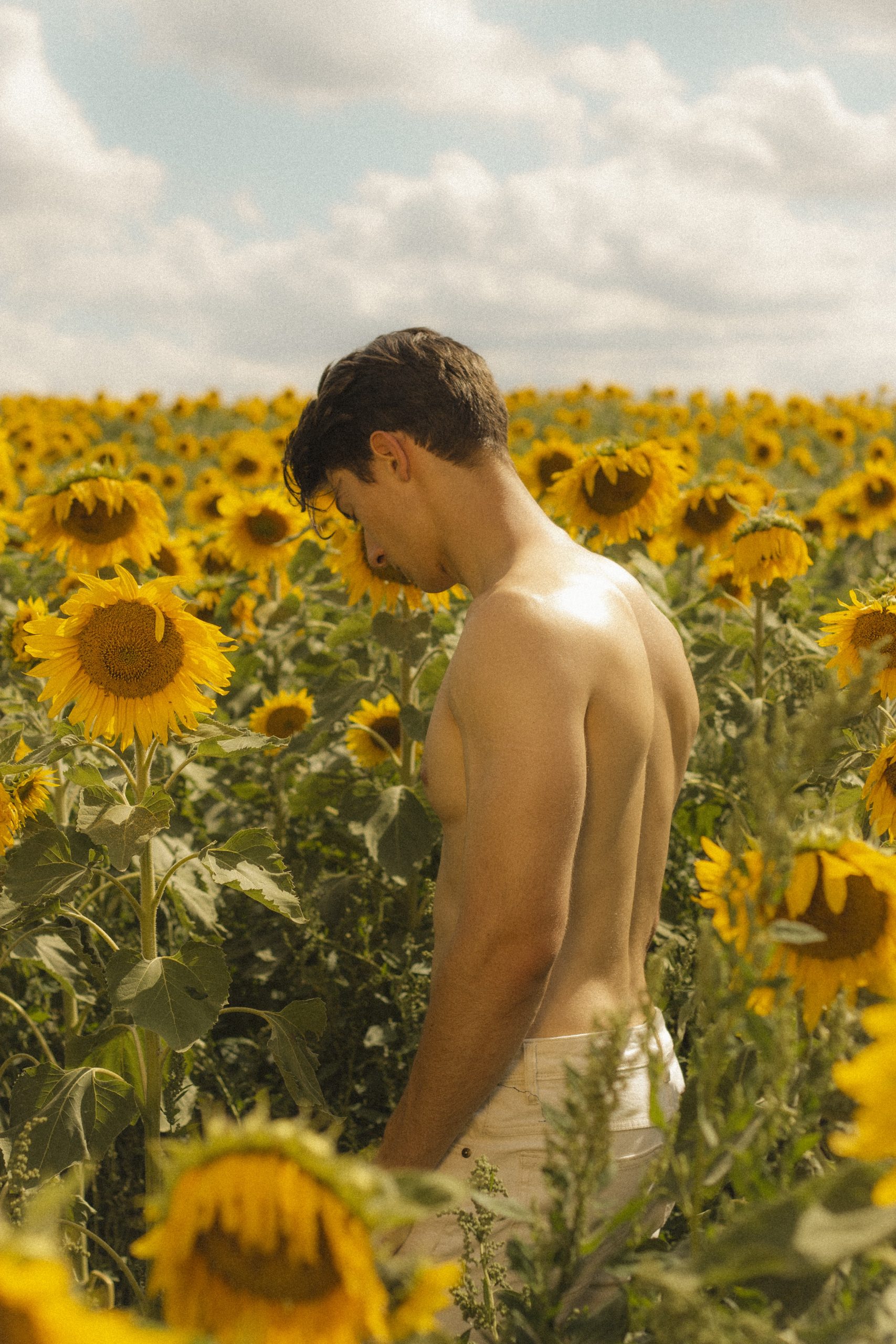 Liam Mollica in a scene from Sunflower