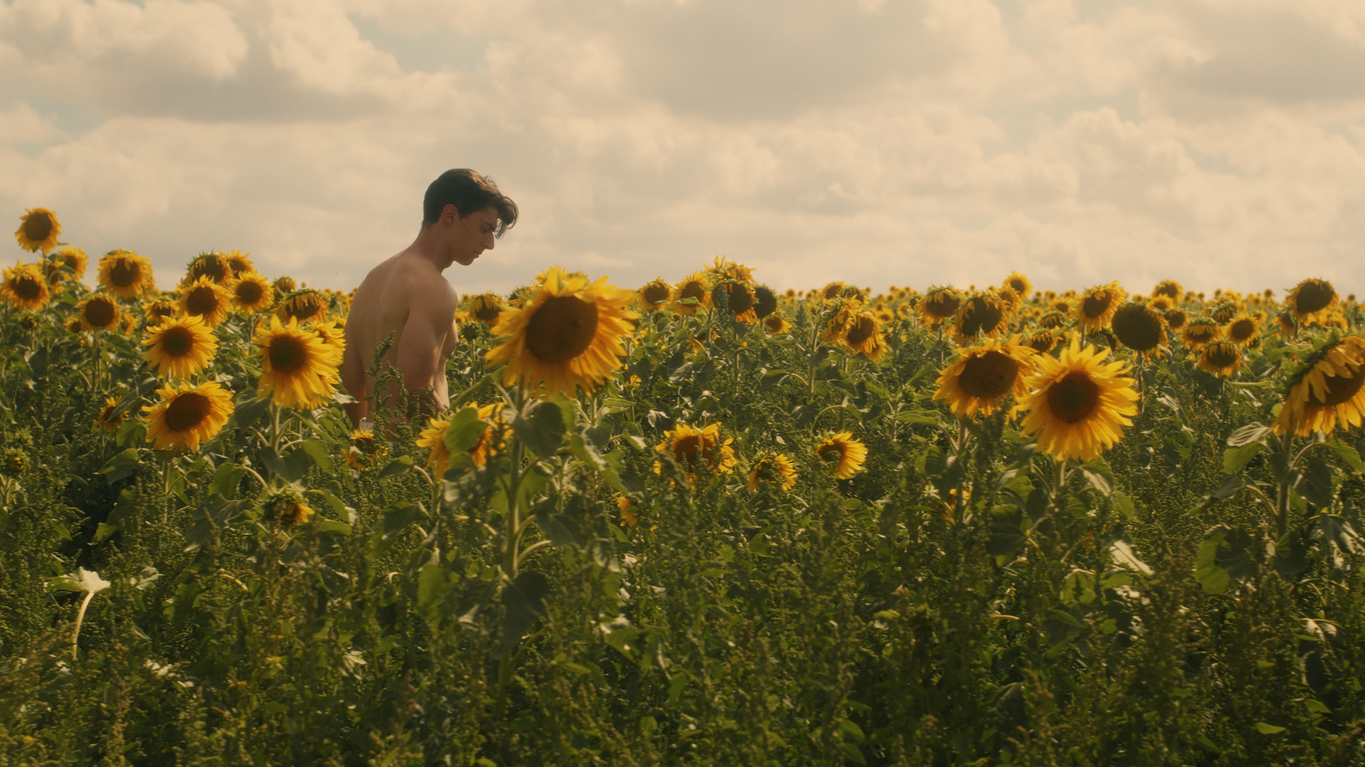 Liam Mollica in a scene from Sunflower