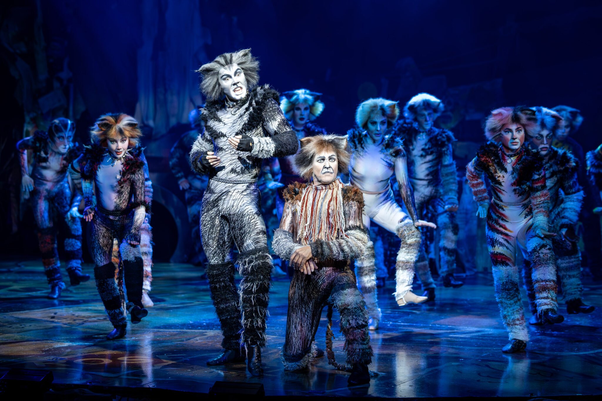 Jarrod Draper as Munkustrap in Cats